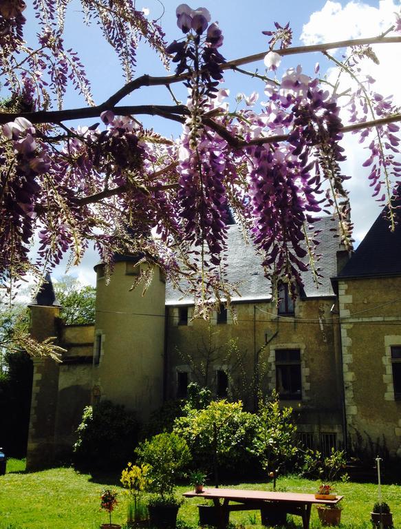 Saint-Gaultier Chateau St.Gaultier المظهر الخارجي الصورة