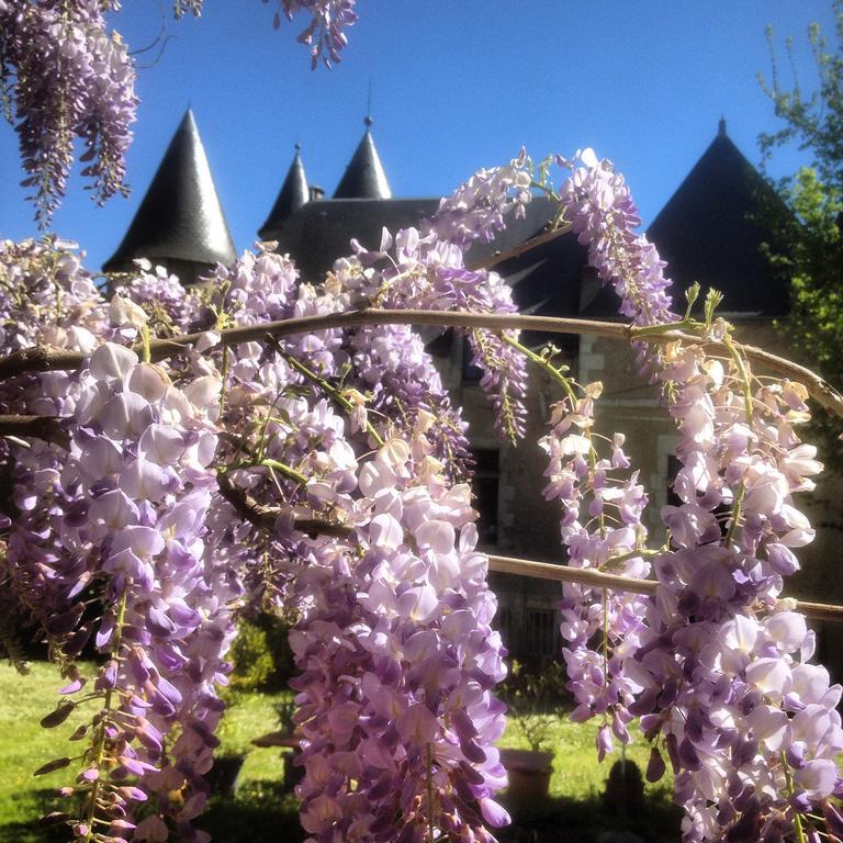 Saint-Gaultier Chateau St.Gaultier المظهر الخارجي الصورة